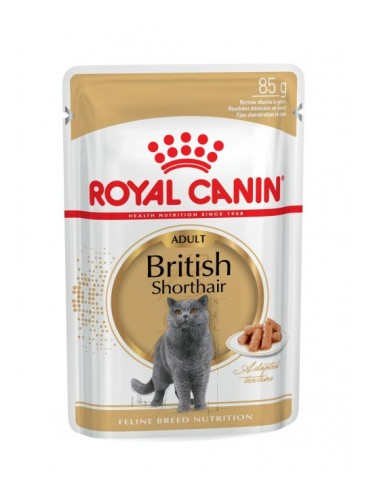 royal-canin-cat-wet-food-british-shorthair-adult.jpg