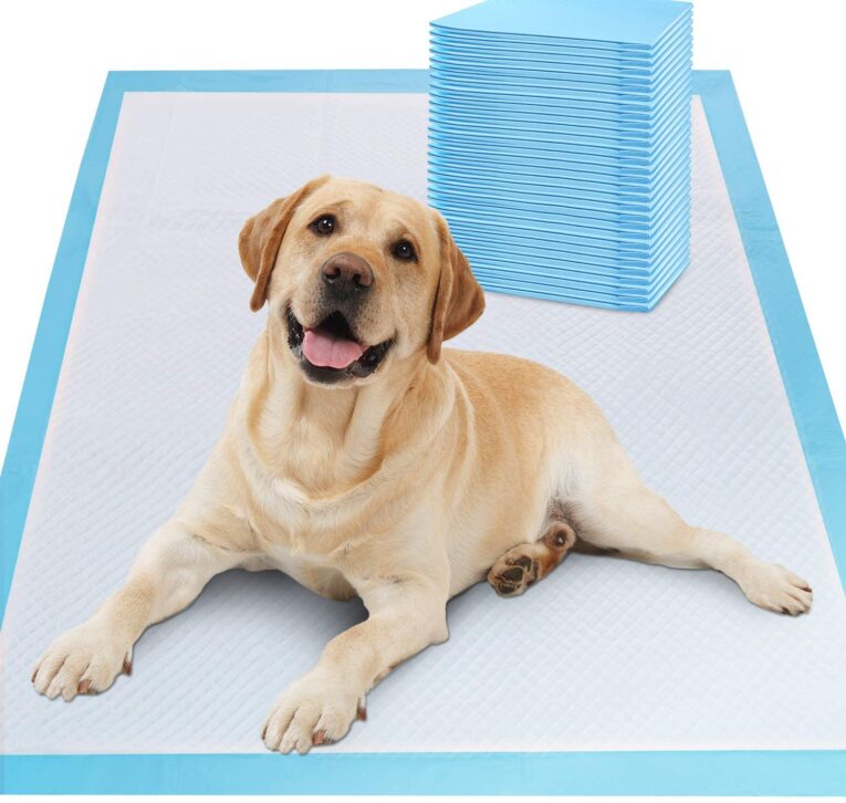 Dog-Diaper-Disposable-Super-Pet-Pee-Pad-Puppy-Training-Pads-Urine-Pad-Absorbent-Diapers-Waterproof-Leakproof