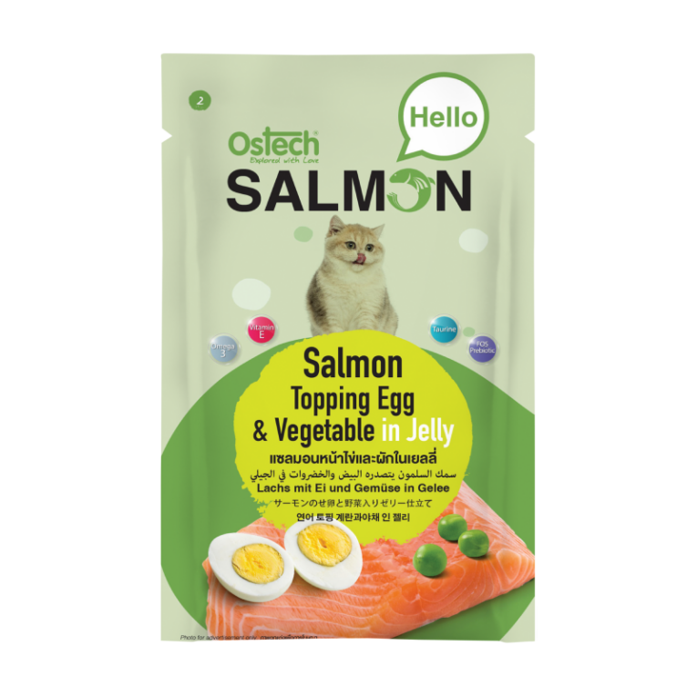 ostech_hello_salmon_02_egg_vegetable