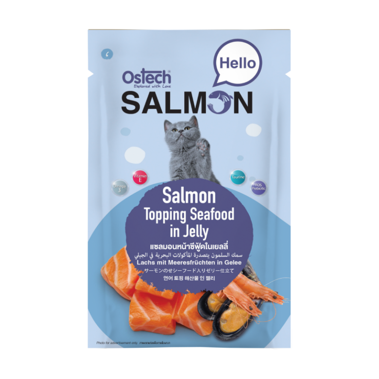 ostech_hello_salmon_06_seafood