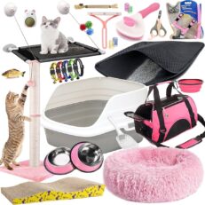 Kitten Products