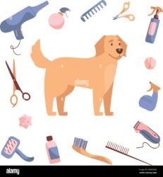 Dog Grooming & Care